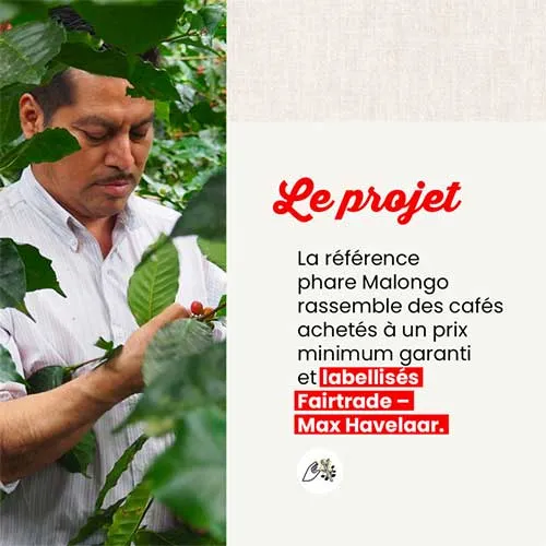 Café moulu Petits Producteurs L'Original - MALONGO