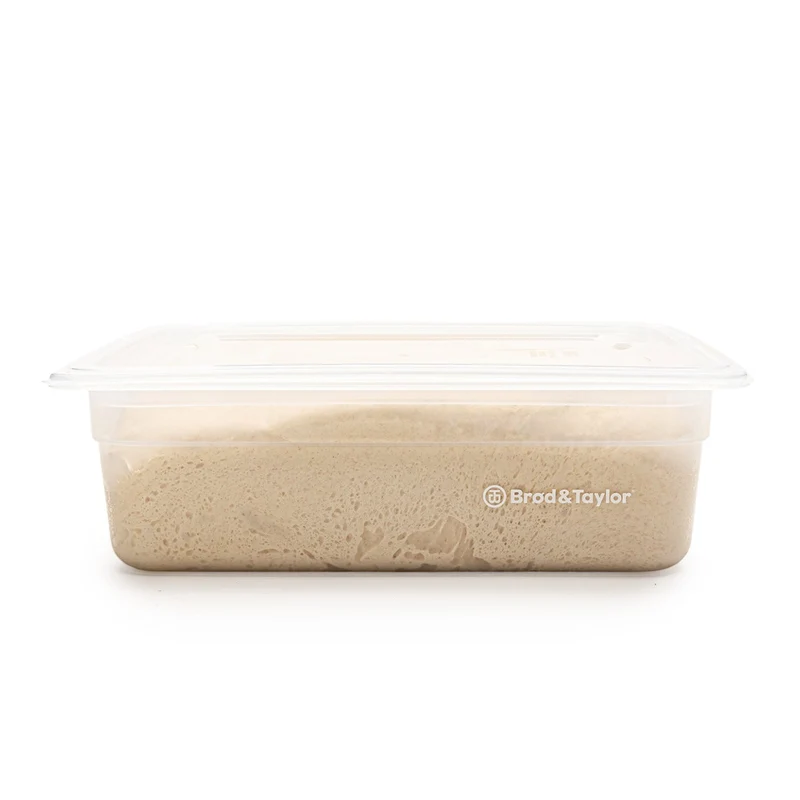 Lot de 2 récipients de fermentation (6 L)