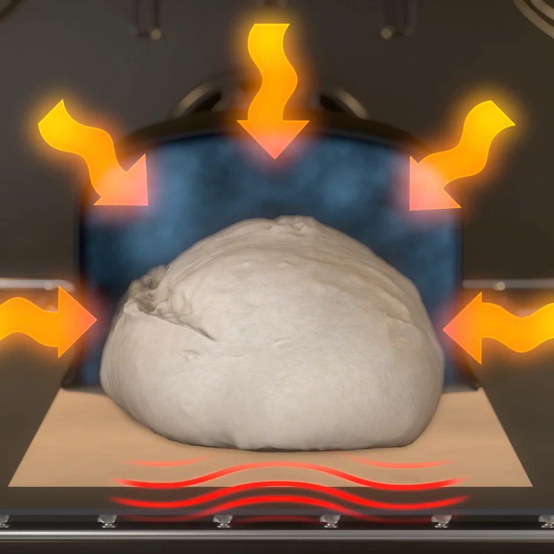 Coquille de cuisson (boule, boîte ouverte)
