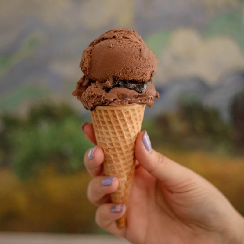 Crème glacée végane au chocolat