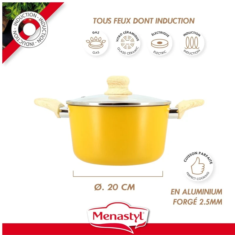 Faitout Colorama 20 cm