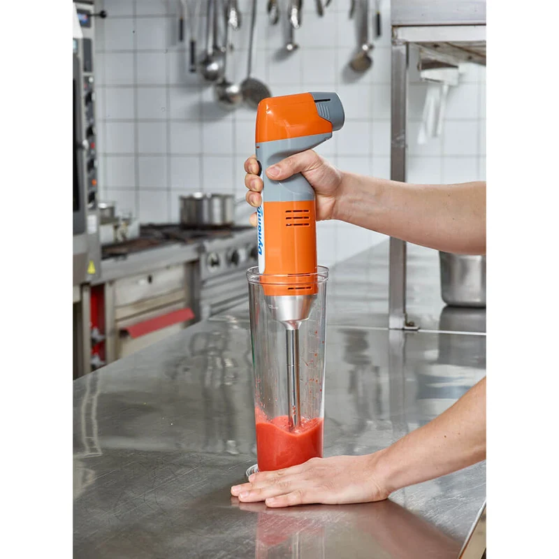 Mixeur plongeant professionnel DYNAMIX NOMAD 190 - DYNAMIC