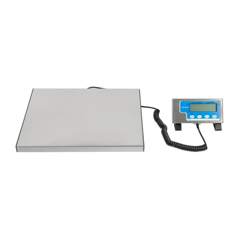 Balance Salter 60kg