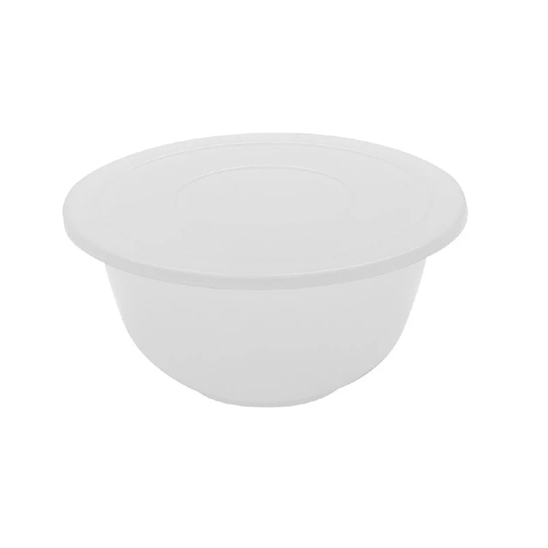 Bassine en polypropylène Schneider 2.5L
