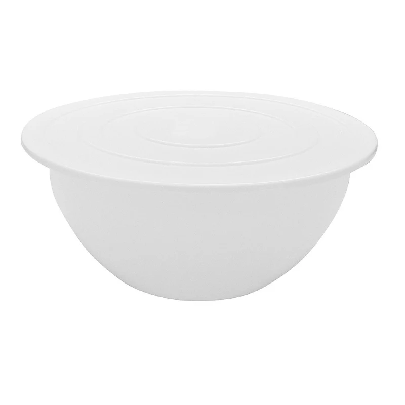 Bassine en polypropylène Schneider 9L