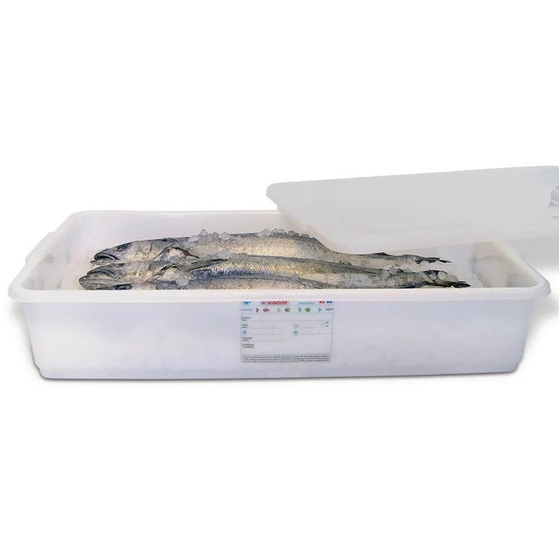 Conteneur alimentaire avec couvercle Araven 40L