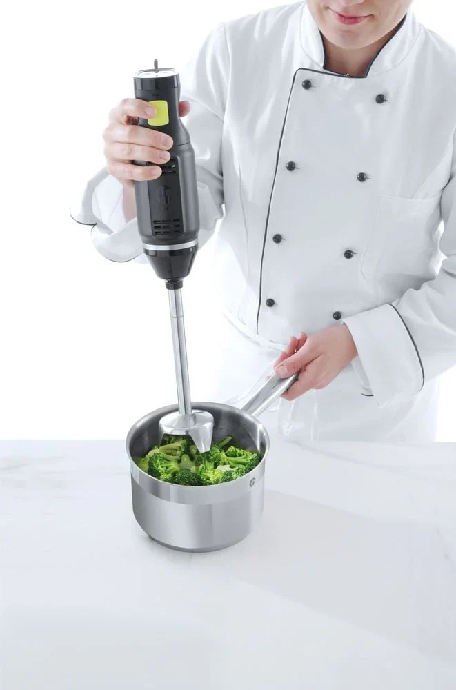 Mixeur plongeant Concept Line