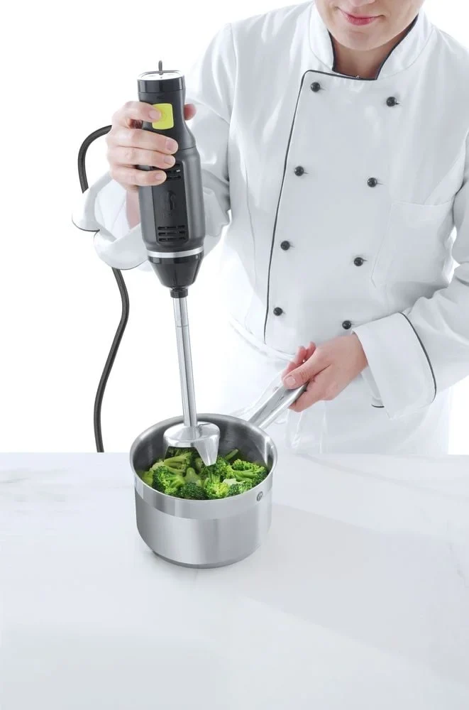 Mixeur plongeant Concept Line